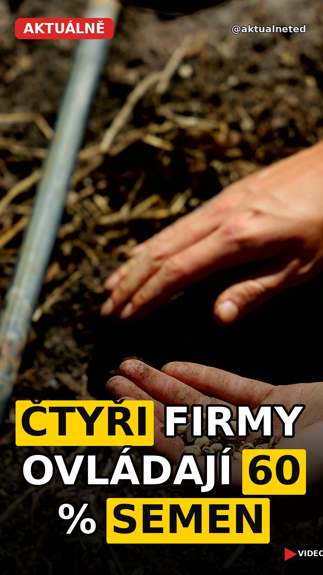 ČTYŘI FIRMY OVLÁDAJÍ 60 % SEMEN