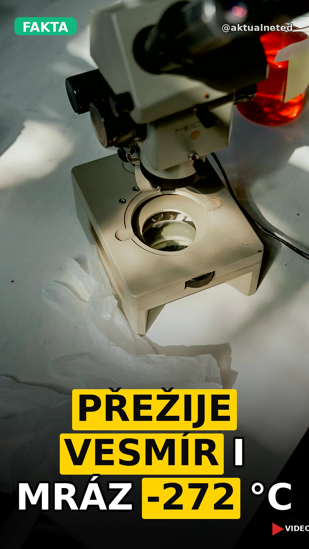 PŘEŽIJE VESMÍR I MRÁZ -272 °C